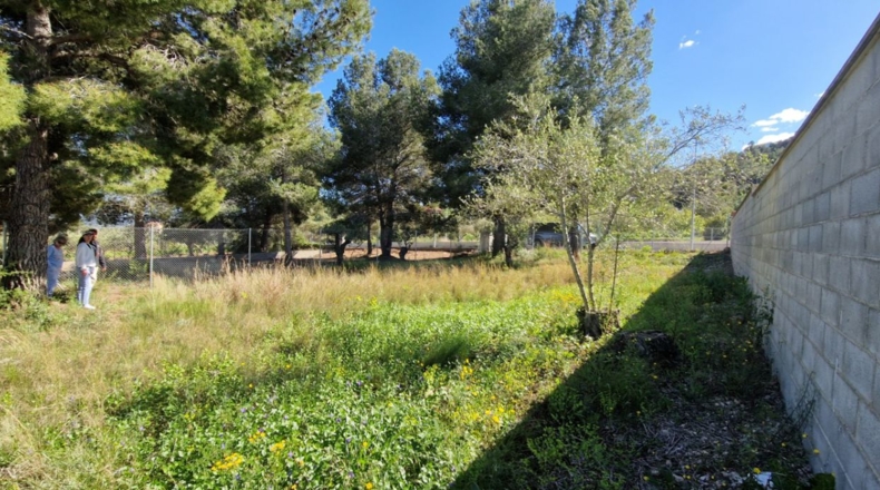 Tarragona - la Bisbal del Penedès - 416m2