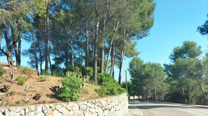 Barcelona - Castellbisbal - 1158m2
