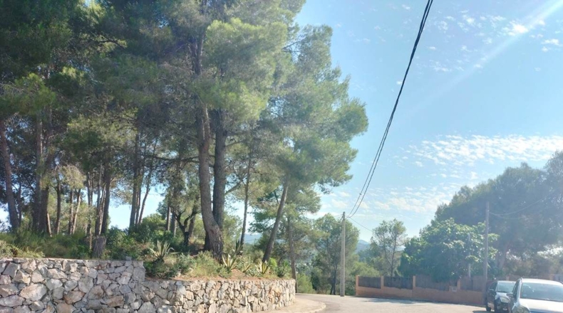 Barcelona - Castellbisbal - 1158m2