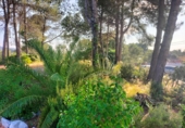 Sòl urbà en venda a Castellbisbal ref.: TR360744 foto