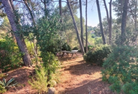 Foto 14