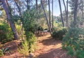 Sòl urbà en venda a Castellbisbal ref.: TR360744 foto