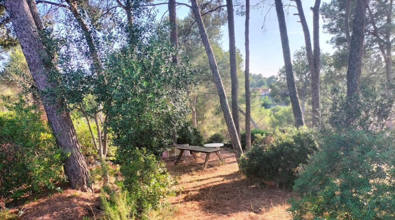 Barcelona - Castellbisbal - 1158m2