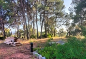 Sòl urbà en venda a Castellbisbal ref.: TR360744 foto