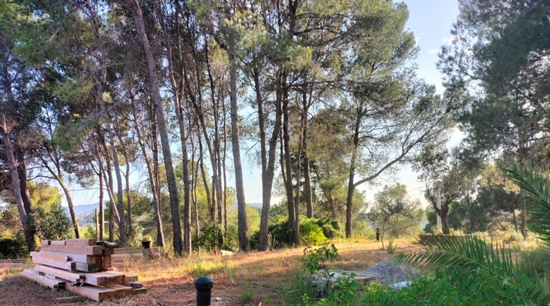 Barcelona - Castellbisbal - 1158m2