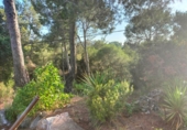 Sòl urbà en venda a Castellbisbal ref.: TR360602 foto