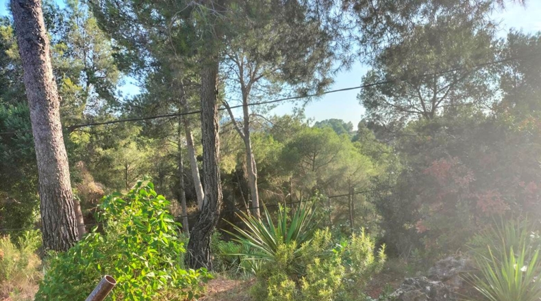 Barcelona - Castellbisbal - 893m2