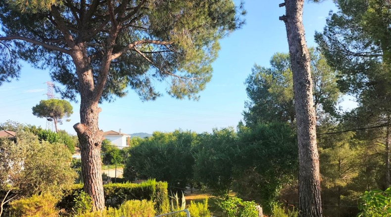 Barcelona - Castellbisbal - 893m2