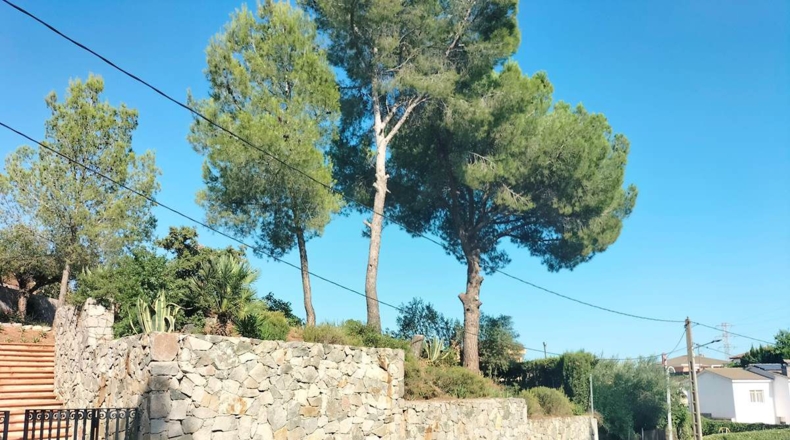 Barcelona - Castellbisbal - 893m2