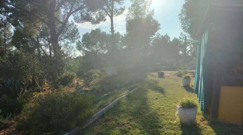 Barcelona - Castellbisbal - 893m2