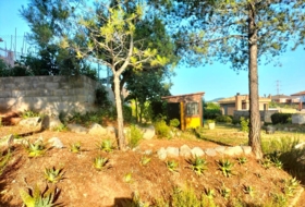 Foto 8