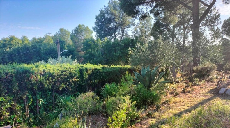Barcelona - Castellbisbal - 893m2