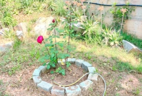 Foto 17