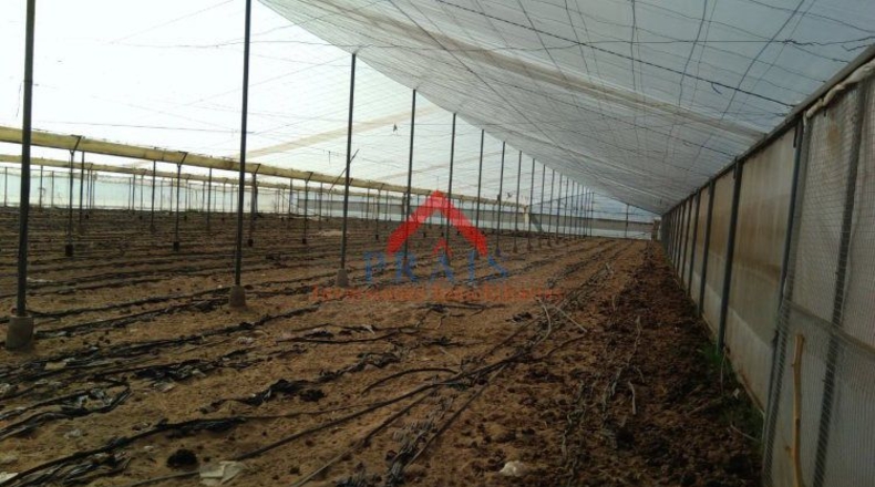 Sevilla - Utrera - 10000m2