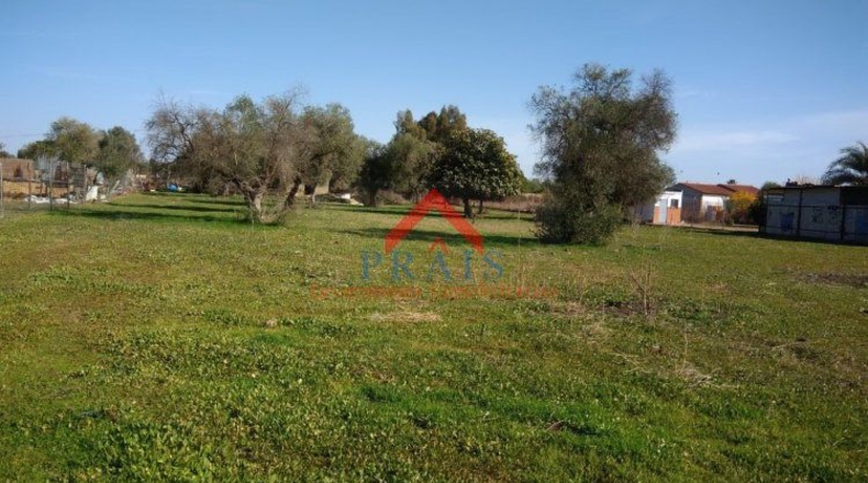 Sevilla - Utrera - 10000m2
