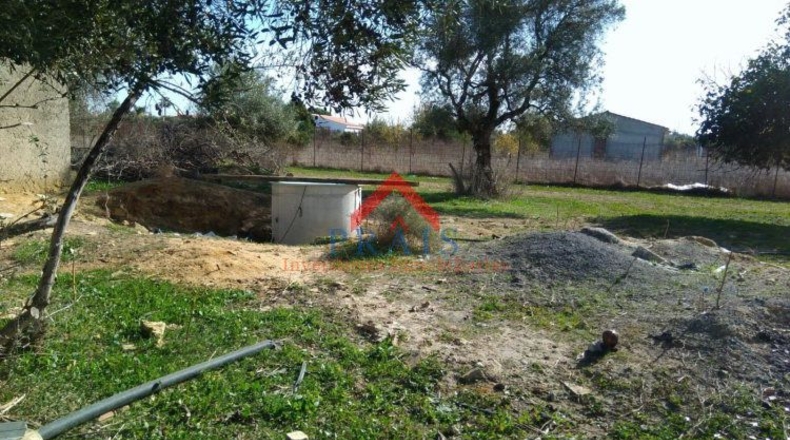 Sevilla - Utrera - 10000m2