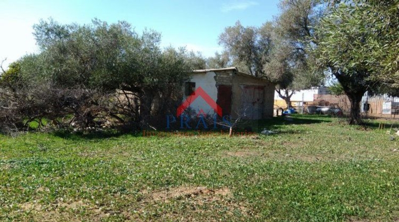 Sevilla - Utrera - 10000m2