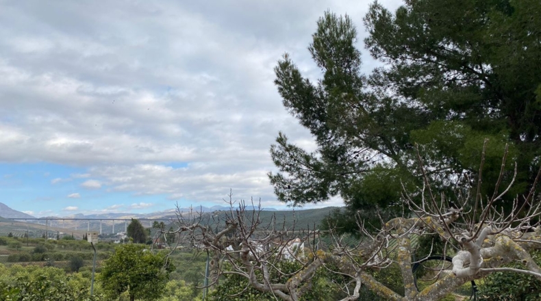 Málaga - Barriada del Puente - 1350m2