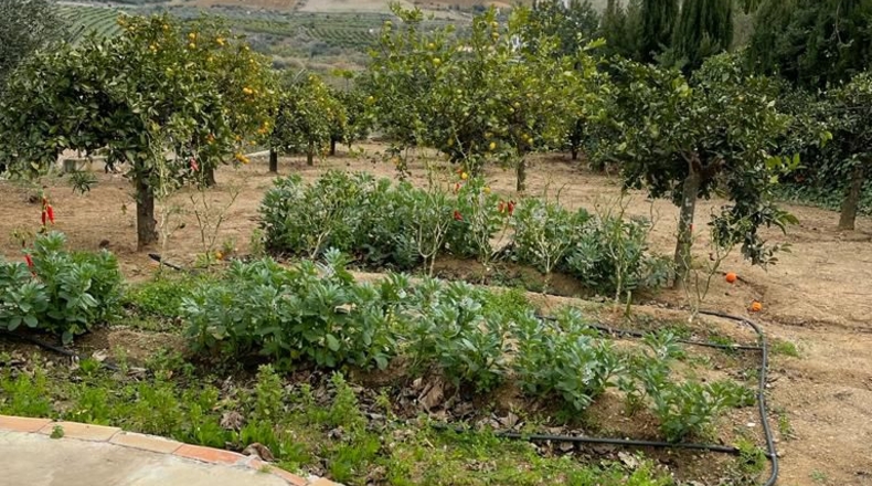 Málaga - Barriada del Puente - 1350m2