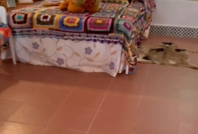 Foto 14