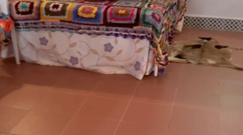 Málaga - Barriada del Puente - 1350m2