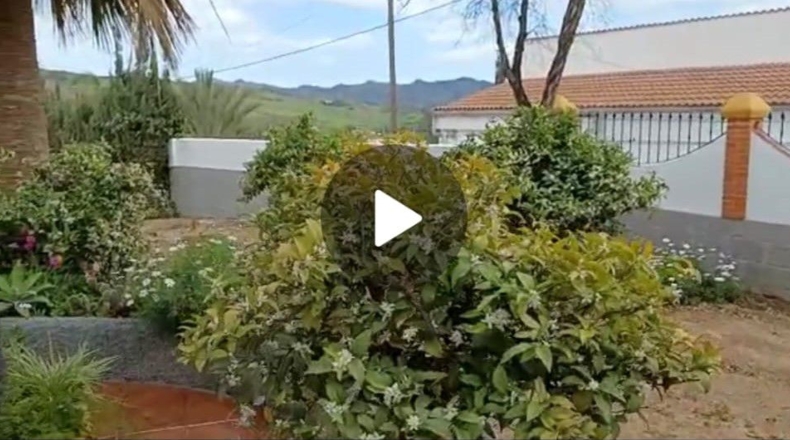 Málaga - Barriada del Puente - 1350m2