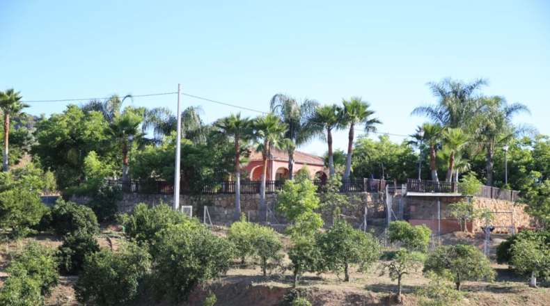 Málaga - Coín - 24000m2