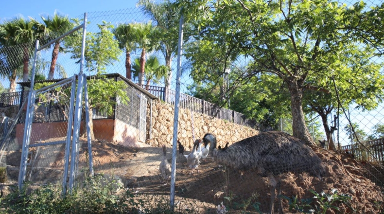 Málaga - Coín - 24000m2
