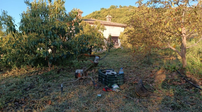 Málaga - Coín - 24000m2
