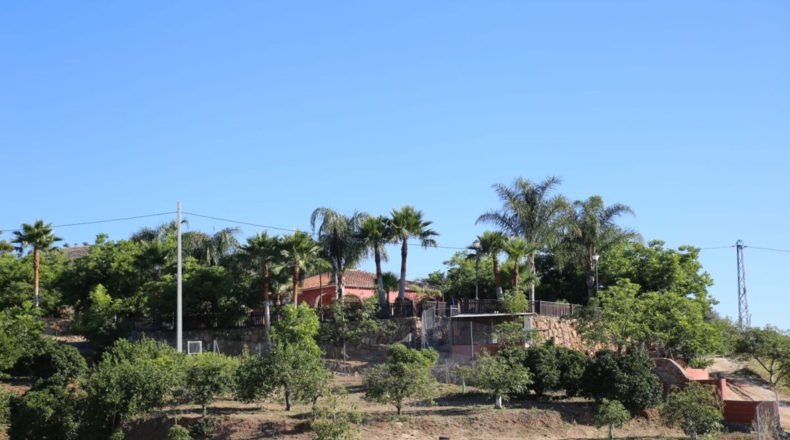 Málaga - Coín - 24000m2