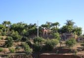 Finca rústica en venda a Coín ref.: TR102145 foto