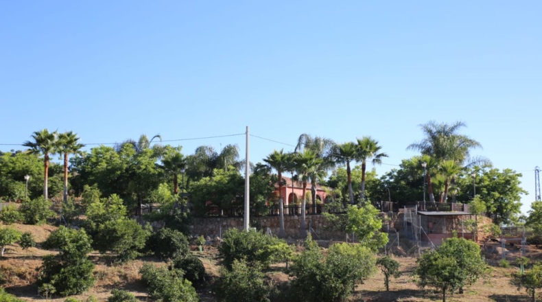 Málaga - Coín - 24000m2