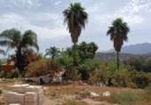Finca rústica en venda a Coín ref.: TR102145 foto