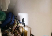 Chalet adosado con terreno en venta en Ripollet ref: TR208457 foto