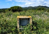 Sòl urbà en venda a Santa Oliva ref.: TR324551 foto