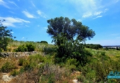 Sòl urbà en venda a Santa Oliva ref.: TR324551 foto