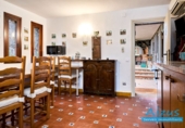 Xalet independent amb terreny en venda a Seva ref.: TR339842 foto