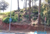 Parcel·la urbanitzable en venda a Corbera de Llobregat ref.: TR343731 foto