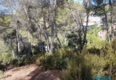 Parcel·la urbanitzable en venda a Corbera de Llobregat ref.: TR343731 foto