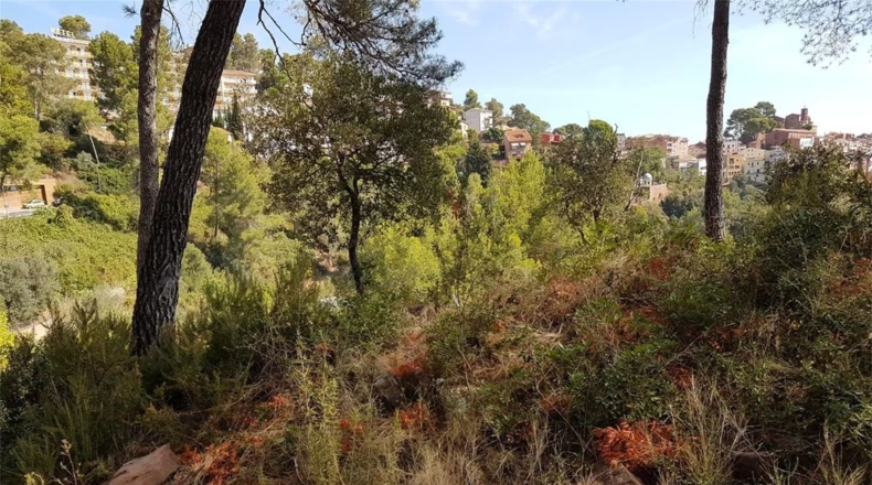 Barcelona - Корбера-де-Льобрегат - 503m2