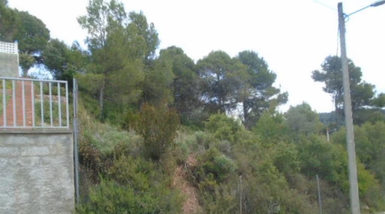Barcelona - Rellinars - 572m2