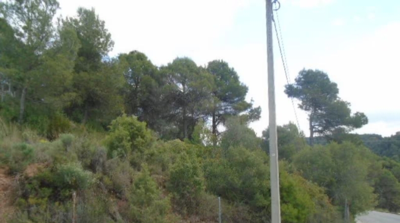 Barcelona - Rellinars - 572m2