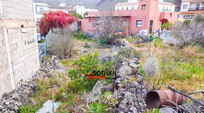 Santa Cruz de Tenerife - Santiago del Teide - 650m2