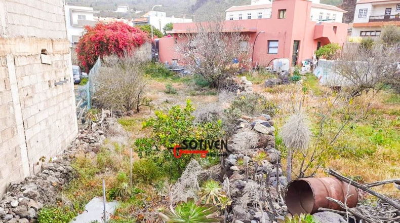 Santa Cruz de Tenerife - Santiago del Teide - 650m2