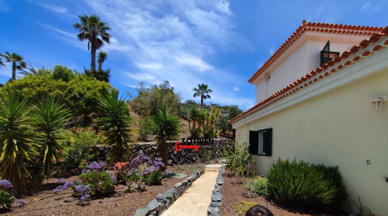 Santa Creu de Tenerife - Guía de Isora - 5073m2
