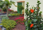 Finca rústica en venta en Guía de Isora ref: TR203903 foto