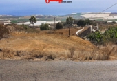 Rural estate for sale in Guía de Isora ref: TR75866 photo