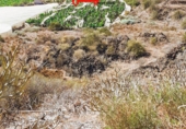 Rural estate for sale in Guía de Isora ref: TR75866 photo