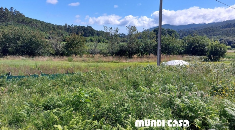 La Corunya - Loxo de Arriba - 570m2