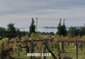 Rural estate for sale in Rianxo ref: TR12800 photo